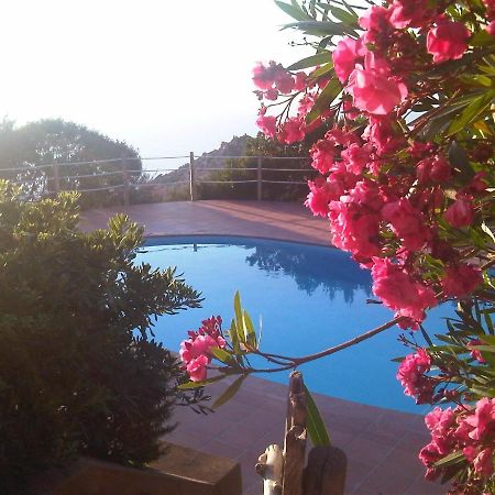 Domus De Janas Villa Costa Paradiso Dış mekan fotoğraf