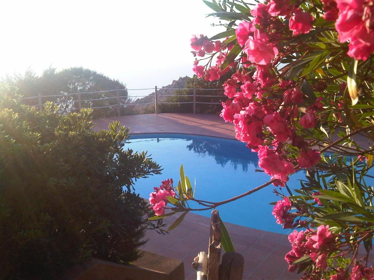 Domus De Janas Villa Costa Paradiso Dış mekan fotoğraf