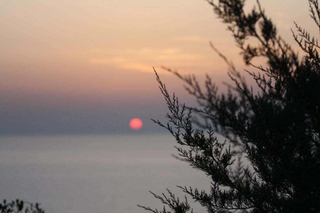 Domus De Janas Villa Costa Paradiso Dış mekan fotoğraf